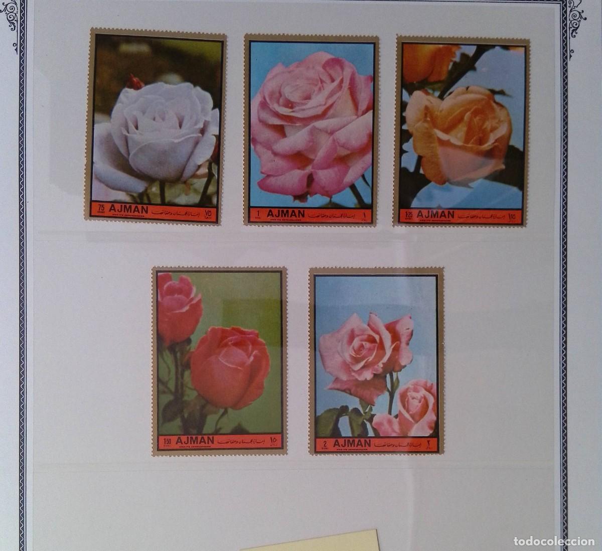 Sellos: O) 1972 AJMAN, ROSES - FLOWERS, SET MNH