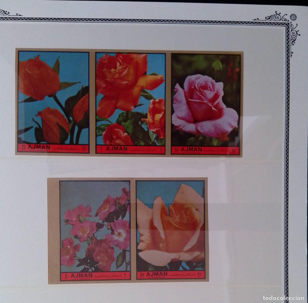 Sellos: O) 1972 AJMAN, IMPERFORATED, ROSES - FLOWERS, SET MNH