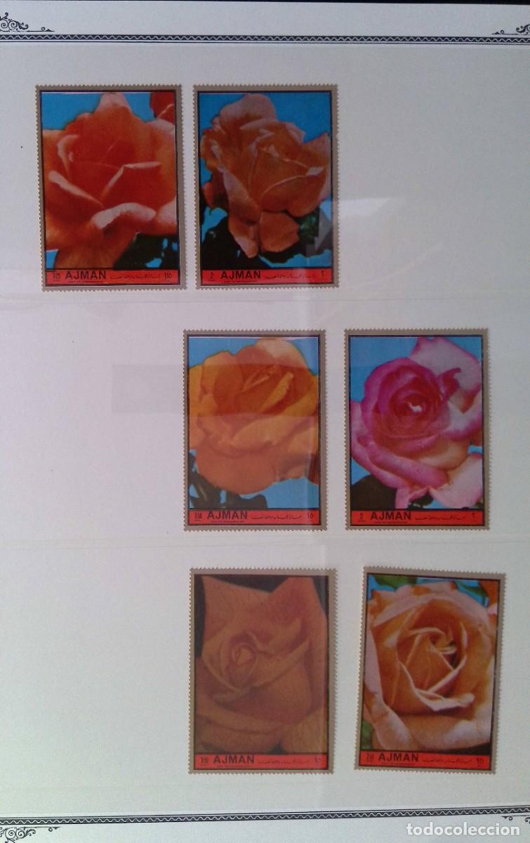 Sellos: O) 1972 AJMAN, ROSES, FLOWERS. SET MNH