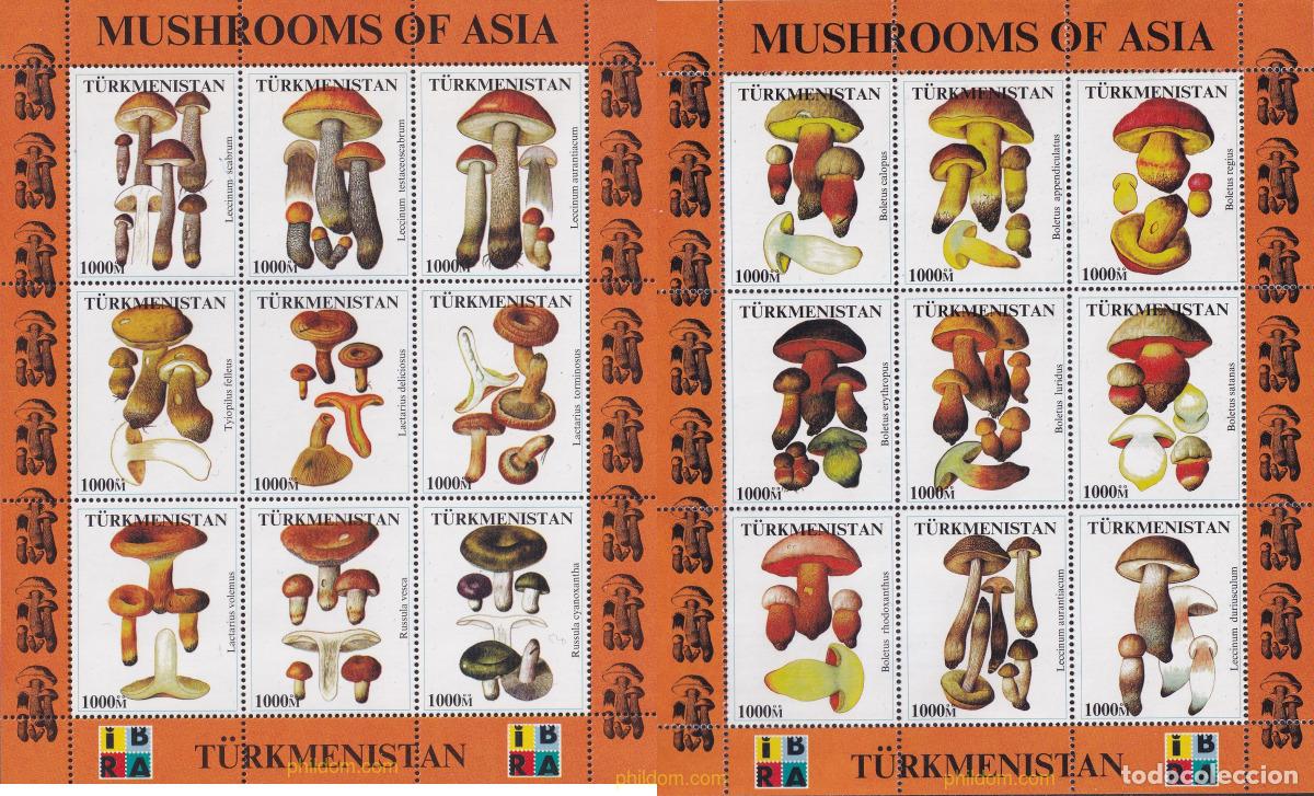 Sellos: 701548 MNH TURKMENISTAN NO OFICIAL 2000 SETAS DEL MUNDO