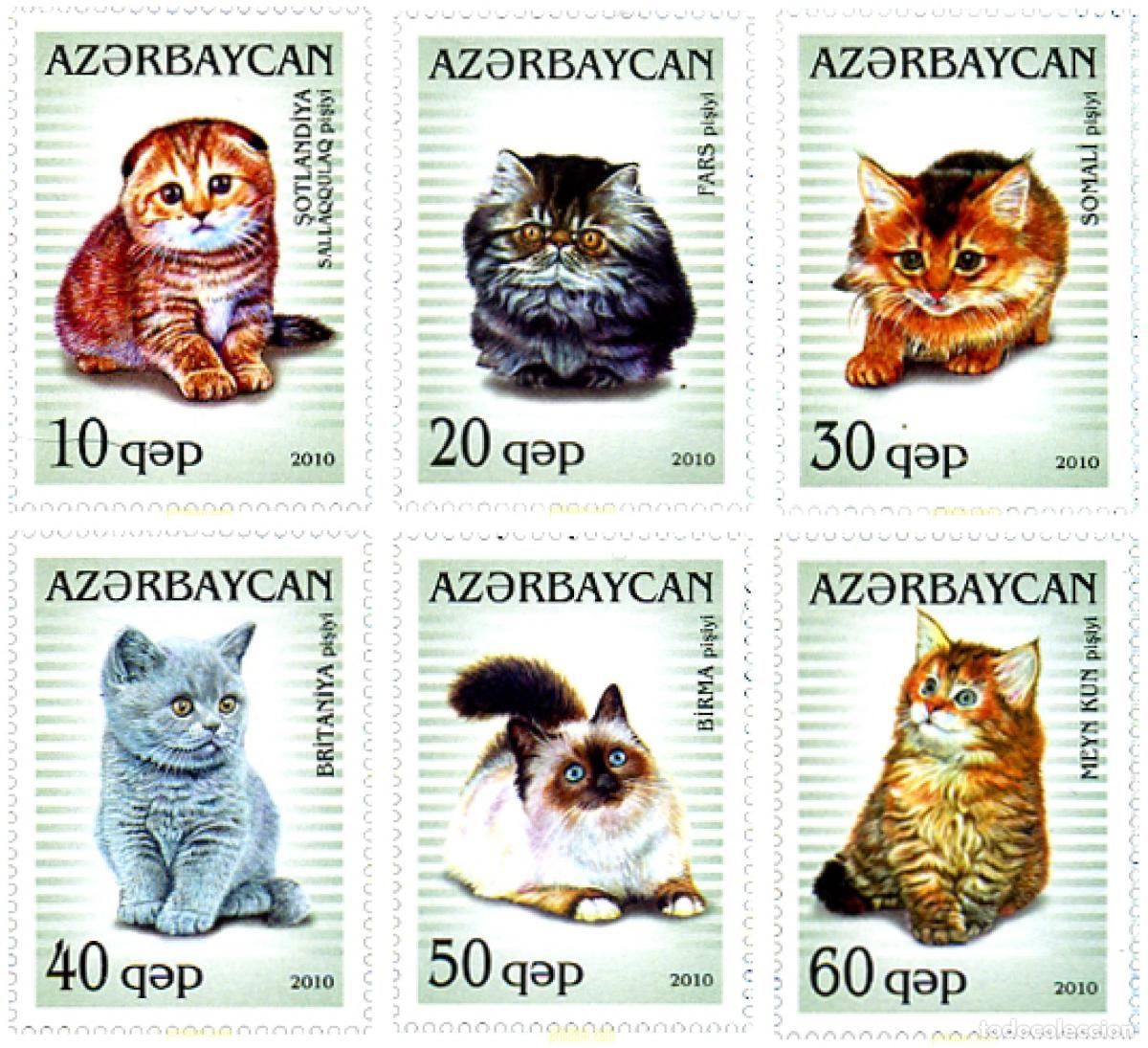 Sellos: 300348 MNH AZERBAIYAN 2010 GATOS
