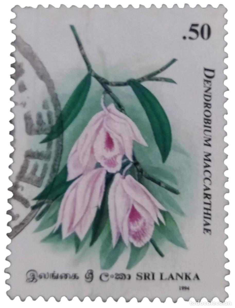 Sellos: SRI LANKA 1994 Flores - Orqu&iacute;deas. USADO.