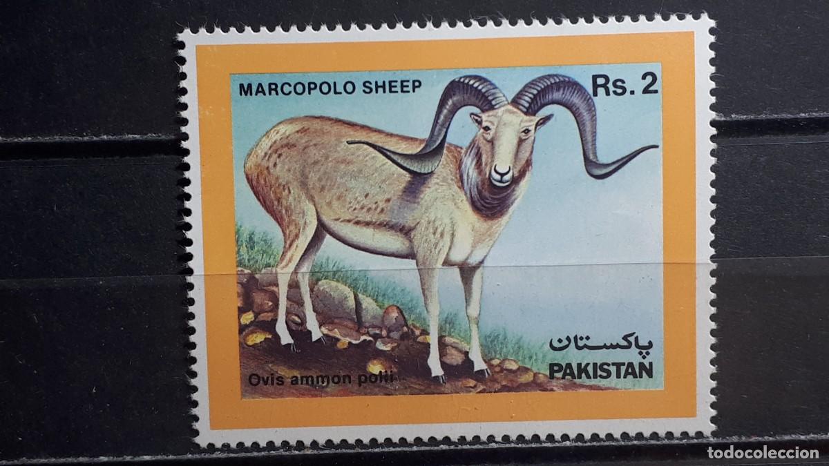 Sellos: PAKIST&Aacute;N. A&Ntilde;O 1986. **. YVERT 664