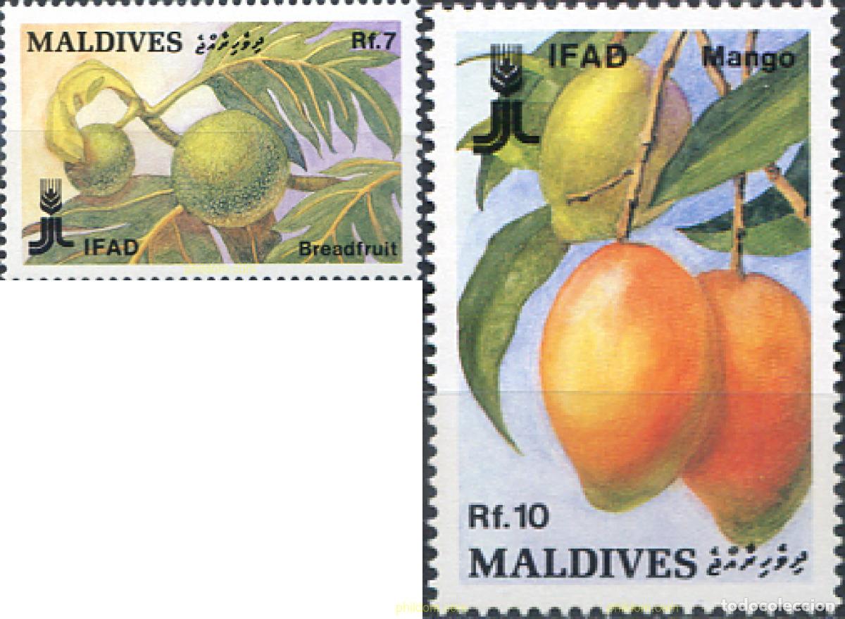 Sellos: 340624 MNH MALDIVAS 1988 IFAD