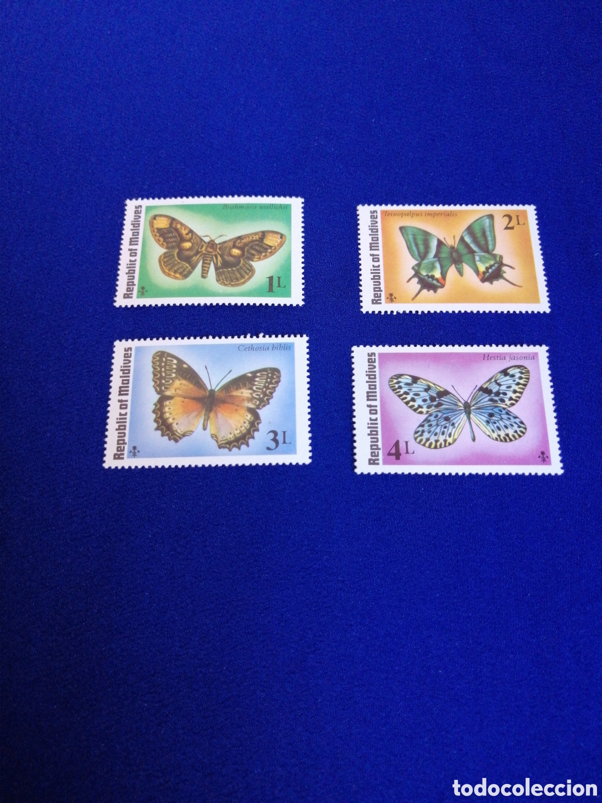 Sellos: REPUBLIC OF MALDIVES LOTE MARIPOSAS SELLOS USADOS