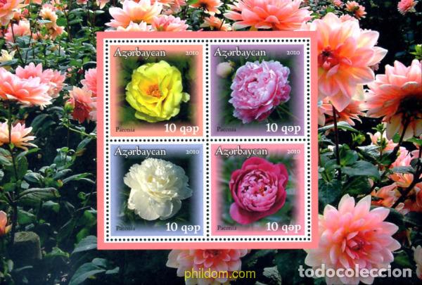 Sellos: 252530 MNH AZERBAIYAN 2010 FLORES. PEONIA
