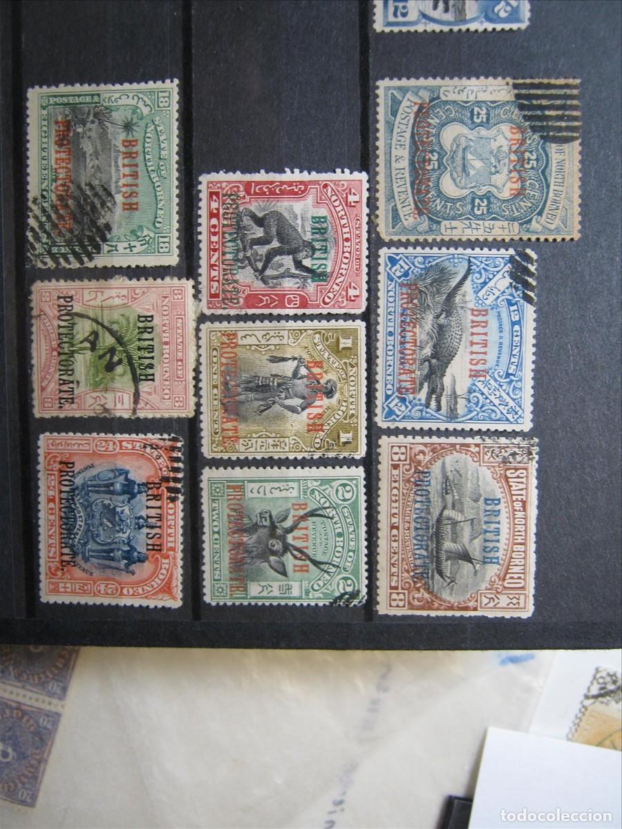 Sellos: BORNEO DEL NORTE LOTE USADO DE 1901-12 PERFECTOS.