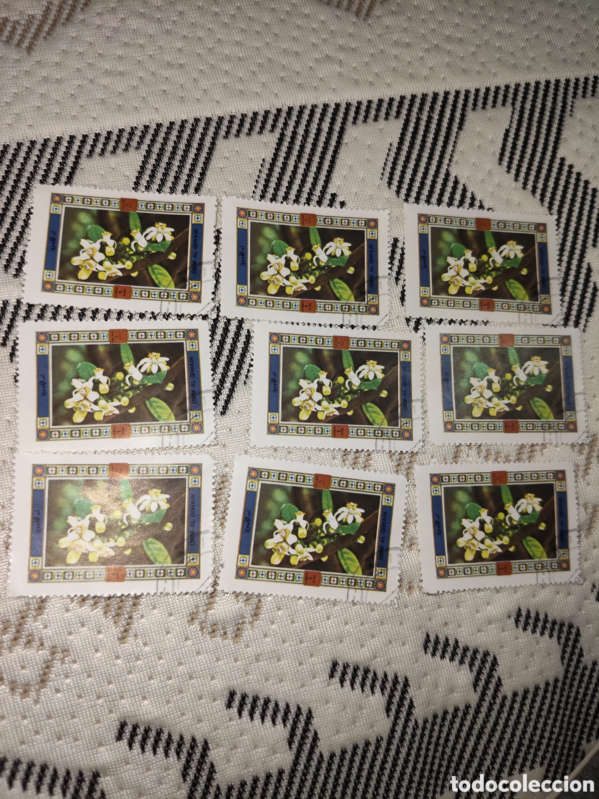 Sellos: 9 sellos de Umm Al Quiwain naturaleza y flores rama con flores de Azahar 1972
