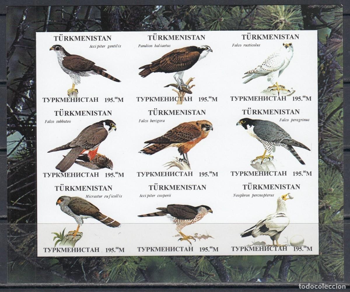 Sellos: TURKMENISTAN 1999 SHEET MNH IMPERF FAUNA RAPACES BIRDS OF PREY AVES DE PRESA OISEAUX DE PROIE
