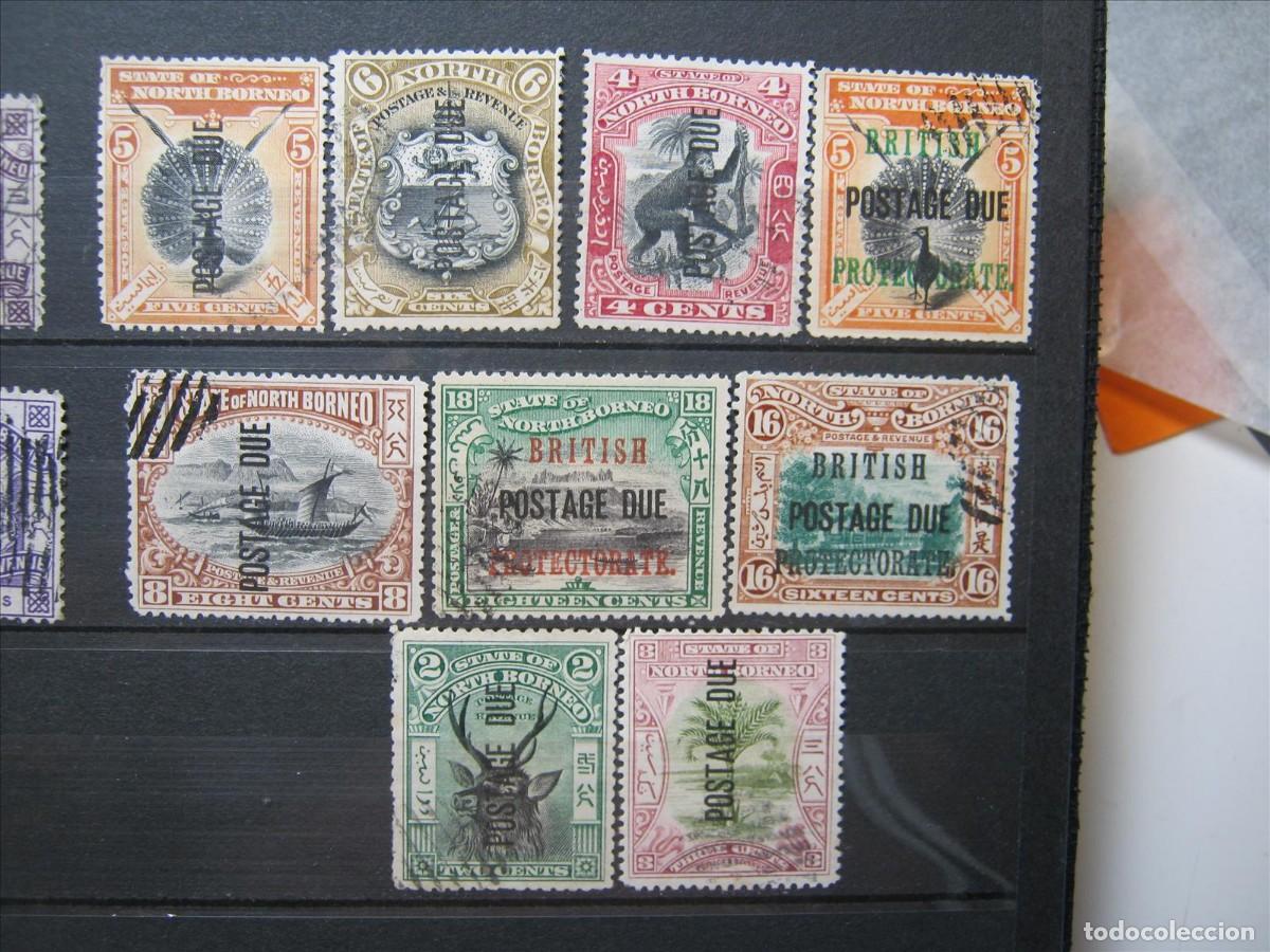 Francobolli: BORNEO DEL NORTE LOTE USADO DE 1901-12 PERFECTOS.