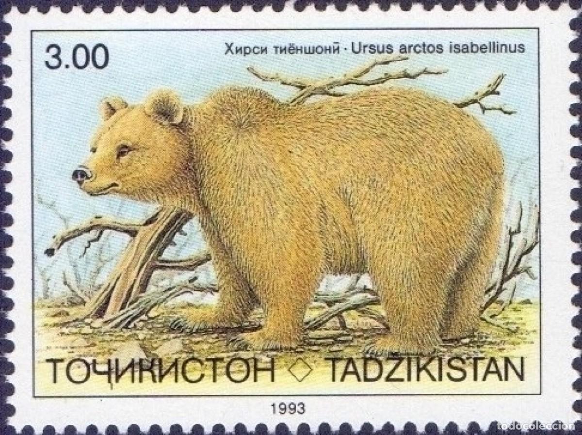 Sellos: TAJIKISTAN 1993 STAMP MNH FAUNA MAMIFEROS OSOS BEARS OURS URSOS BAREN ORSI WILDLIFE