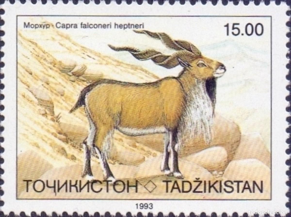 Sellos: TAJIKISTAN 1993 STAMP MNH FAUNA MAMIFEROS MARJOR DE BUJARA CABRAS SALVAJES WILD GOATS CHEVRES ZIEGEN