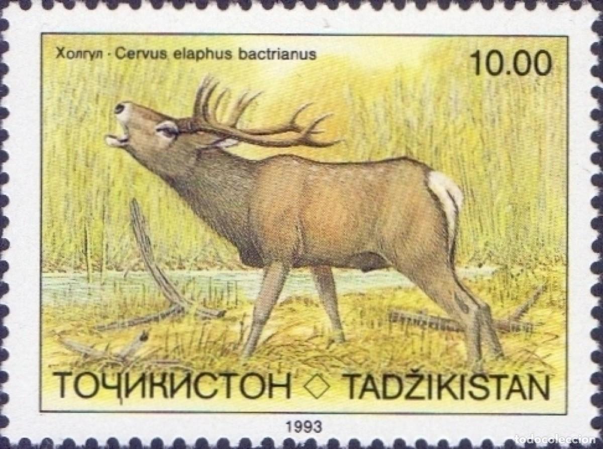 Sellos: TAJIKISTAN 1993 STAMP MNH FAUNA MAMIFEROS CIERVO DE BUJARA DEERS HIRSCH CERVIDES CERVIDOS VENADOS