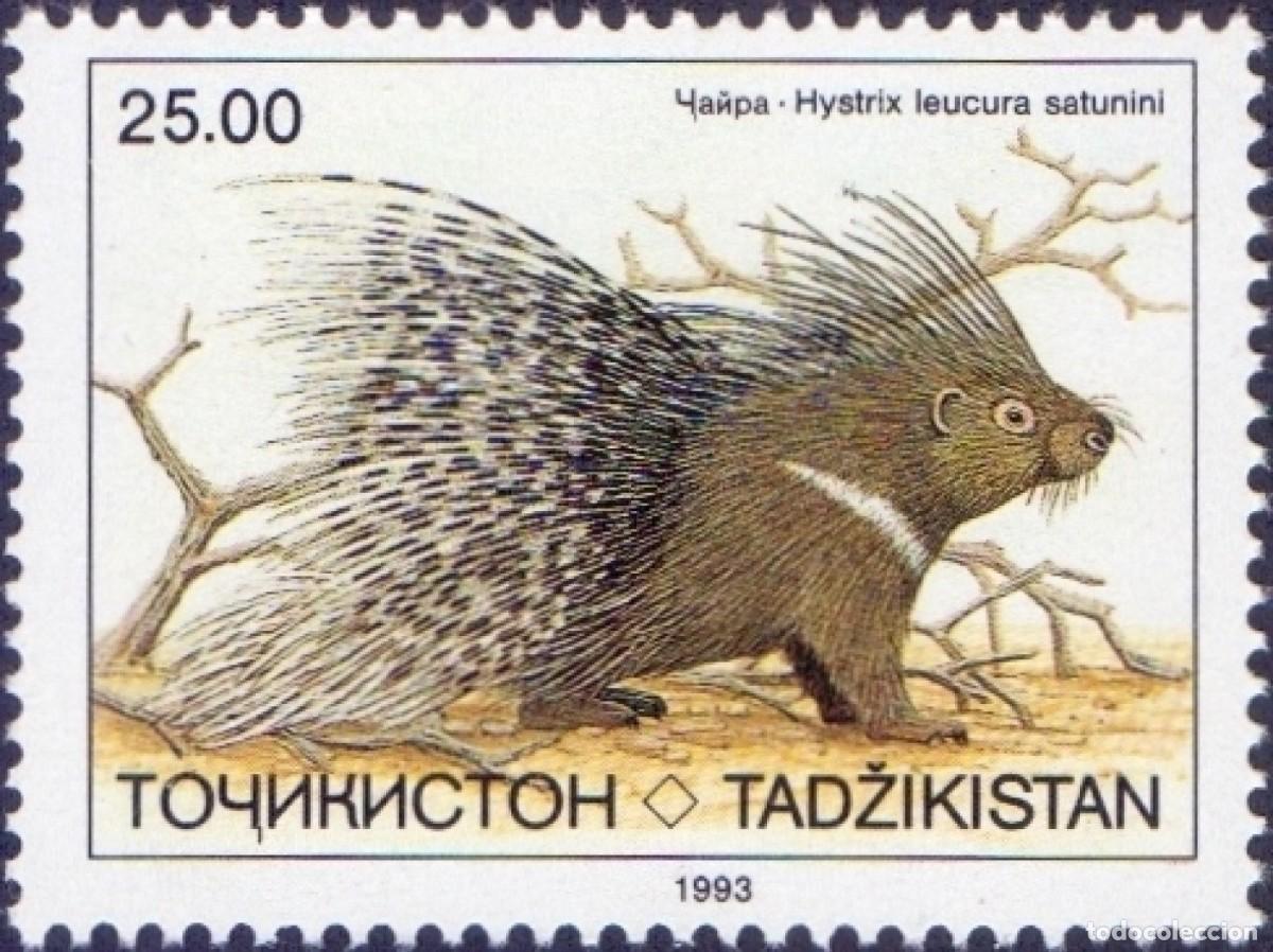 Sellos: TAJIKISTAN 1993 STAMP MNH FAUNA MAMIFEROS PUERCOESPINES PORCUSPINES PORCOSPINI STACHELSCHWEINE