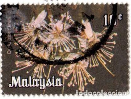 Sellos: Malasia. Flores de Malasia. 1979. YT-209. Usado