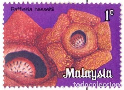 Sellos: Malasia. Flores de Malasia. 1979. YT-208. Usado