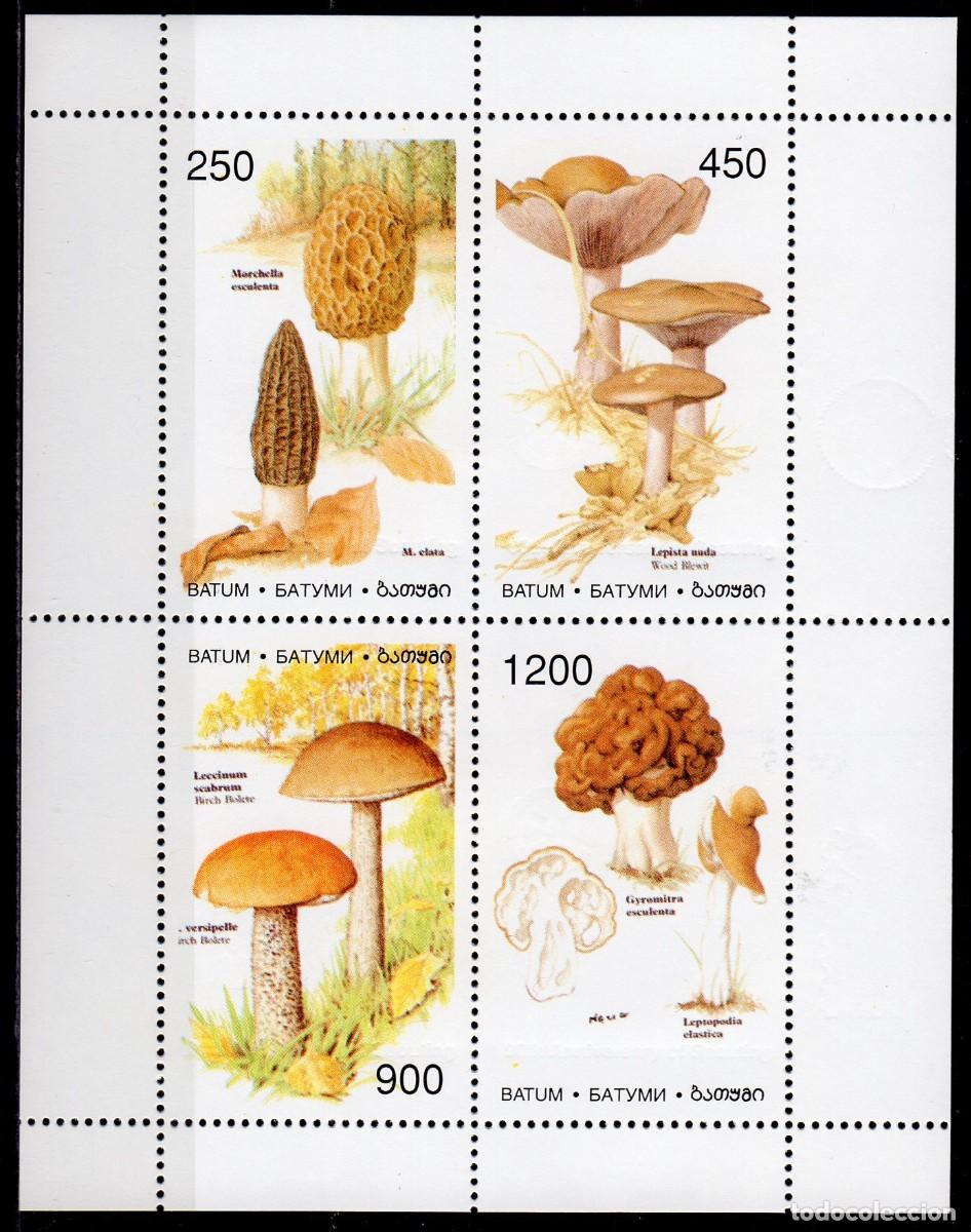 Sellos: BATUM 1997 SHEET MNH MUSHROOMS CHAMPIGNONS SETAS PILZE FUNGHI COGUMELOS