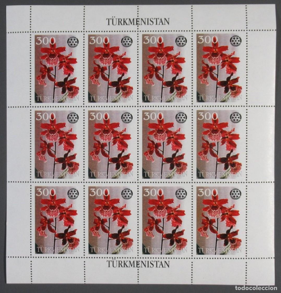 Sellos: TURKMENISTAN 1997 SHEET MNH ORCHIDS ORCHIDEES ORQUIDEAS ORCHIDEEN ORCHIDEE FLORES FLOWERS BLUMEN