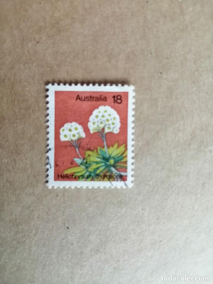 Sellos: AUSTRALIA - 18 - FLORA - HELICHRY SUM - Foto 1
