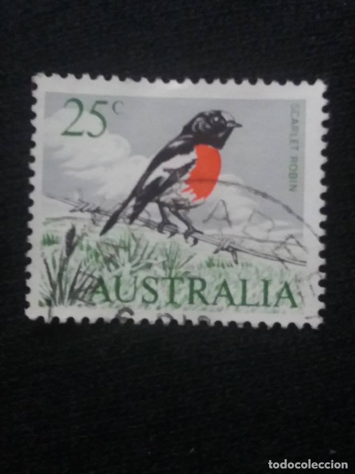 Sellos: POSTAGE AUSTRALIA, 25C, ROBIN, 1966.. - Foto 1