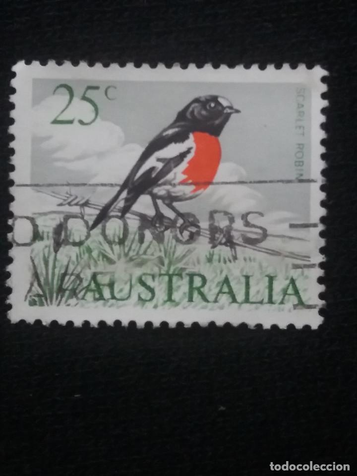 Sellos: POSTAGE AUSTRALIA, 25C, ROBIN, 1966.. - Foto 1