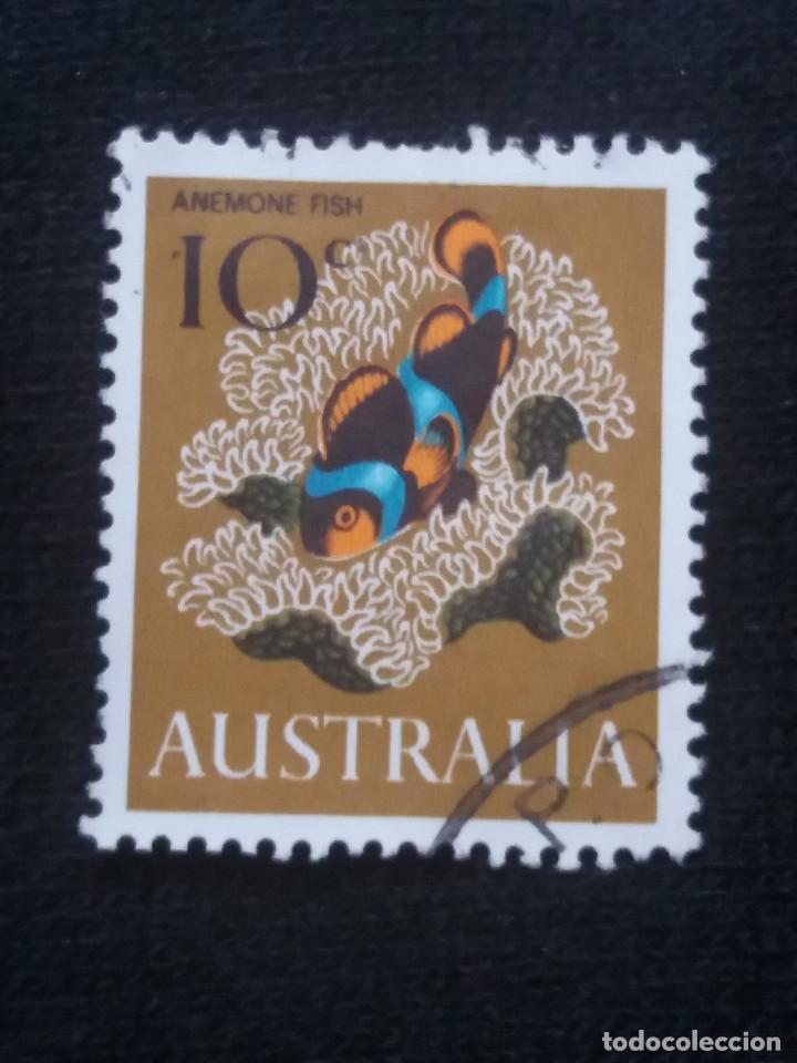 Sellos: POSTAGE AUSTRALIA, 10C, ENEMONE, 1966. - Foto 1