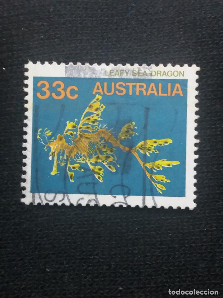 Sellos: POSTAGE AUSTRALIA, 33C, LEAFY DRAGON, 1984. - Foto 1