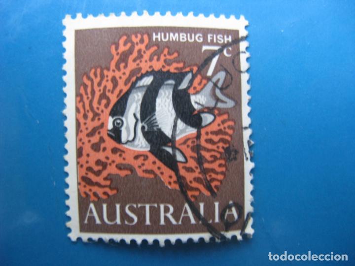 Sellos: +australia 1966, Yvert 325 - Foto 1