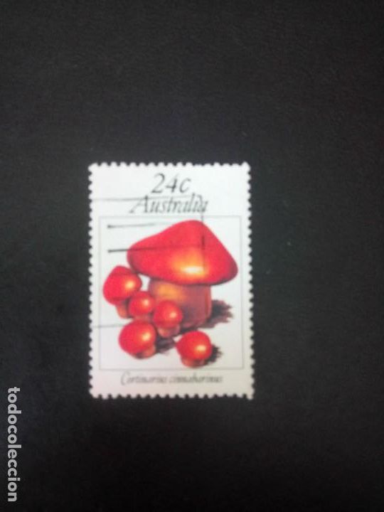 Sellos: AUSTRALIA 1981, SETAS, YT 742 - Foto 1