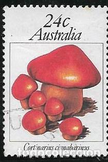 Sellos: AUSTRALIA YVERT 742, FLORA - Foto 1