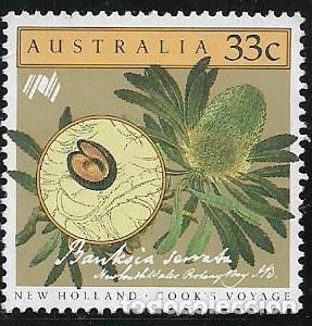 Sellos: AUSTRALIA YVERT 936, FLORA - Foto 1