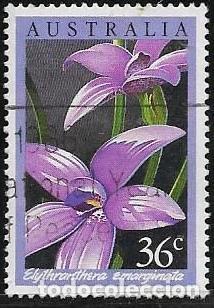 Sellos: AUSTRALIA YVERT 973, FLORA - Foto 1