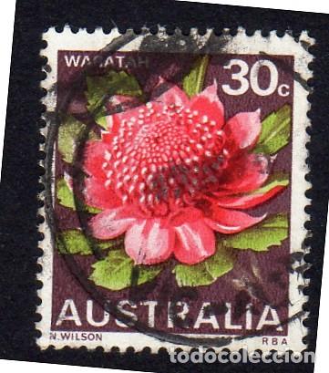 Sellos: Australia. Flora. Waratah. 1968. YT372. Usado
