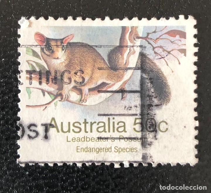 Sellos: AUSTRALIA 1981 SCOTT 793 USADO - Foto 1