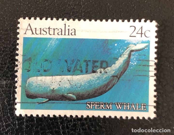 Sellos: AUSTRALIA 1982 SCOTT 821 USADO - Foto 1