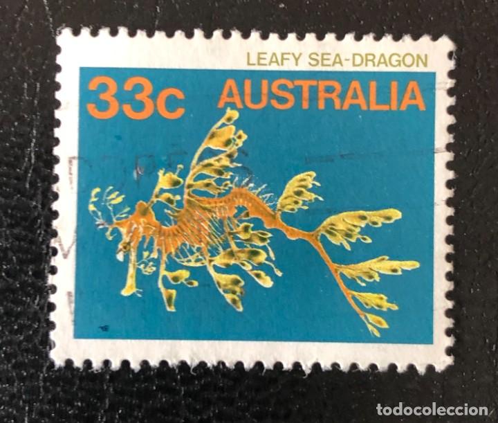 Sellos: AUSTRALIA 1985 SCOTT 909 USADO - Foto 1