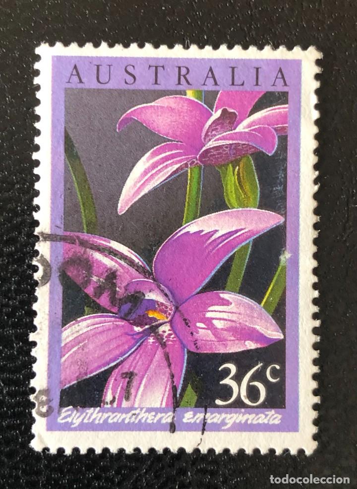 Sellos: AUSTRALIA 1986 SCOTT 997 USADO - Foto 1