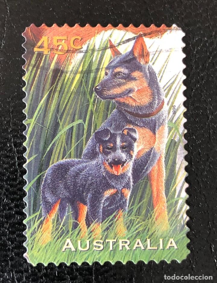 Sellos: AUSTRALIA 1996 SCOTT 1561 USADO - Foto 1