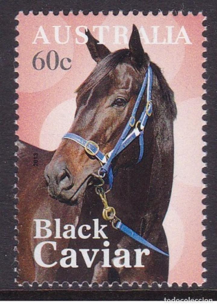 Sellos: Australia 2013 - Black caviar mnh** - Foto 1