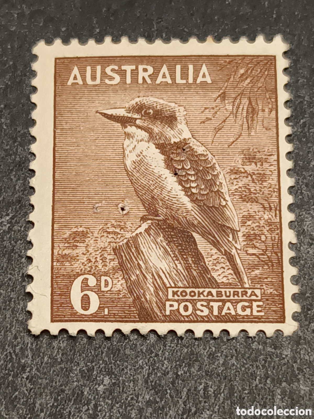 Sellos: AUSTRALIA. SELLO USADO. - Foto 1