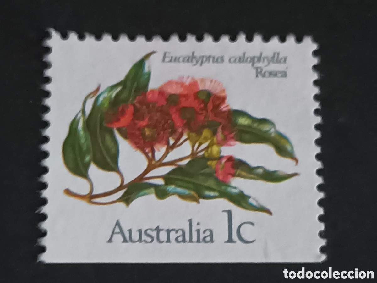 Sellos: AUSTRALIA. SELLO USADO. - Foto 1