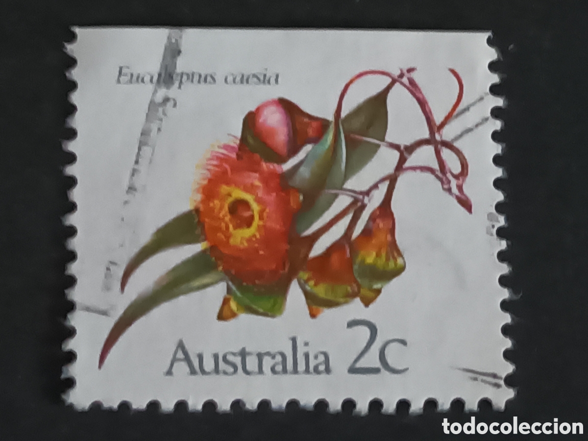 Sellos: AUSTRALIA. SELLO USADO. - Foto 1