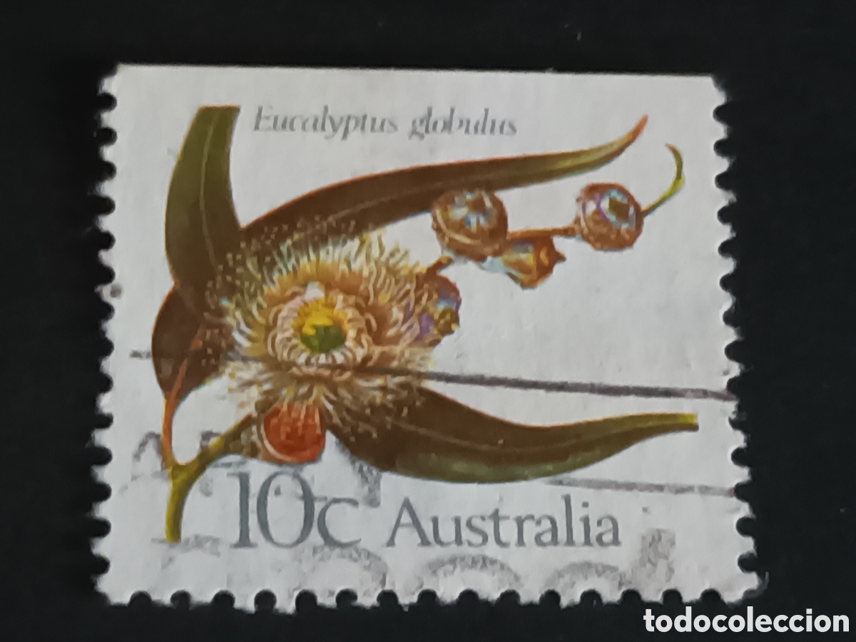 Sellos: AUSTRALIA. SELLO USADO. - Foto 1