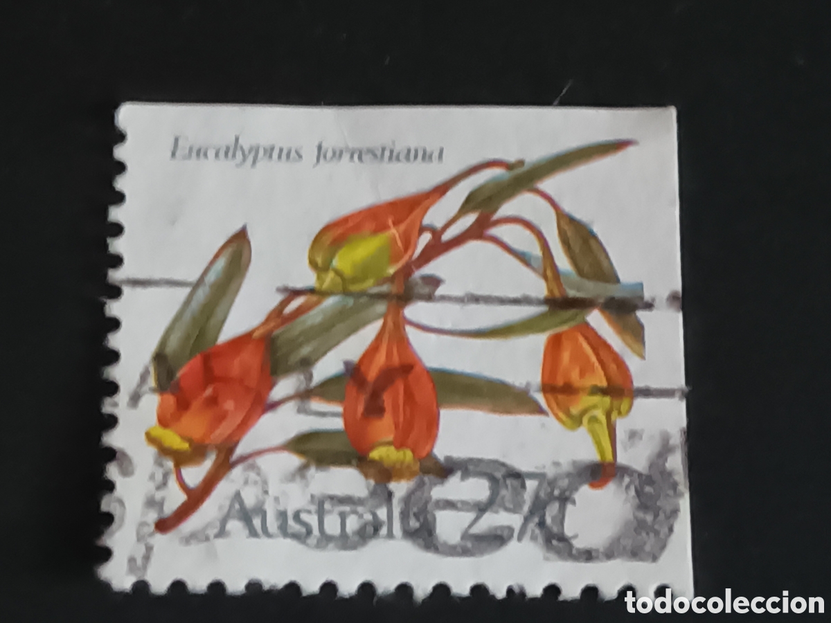 Sellos: AUSTRALIA. SELLO USADO. - Foto 1
