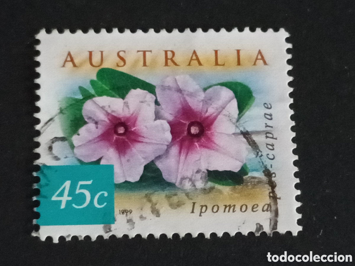 Sellos: AUSTRALIA. SELLO USADO. - Foto 1