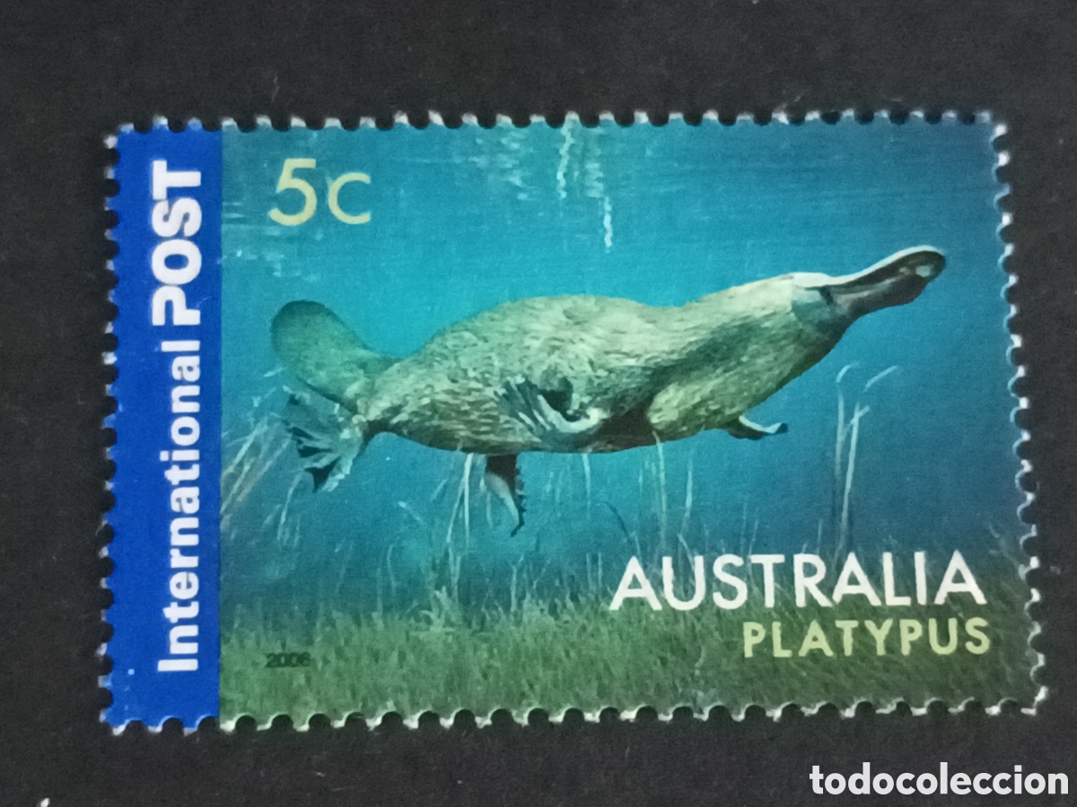 Sellos: AUSTRALIA. SELLO USADO. - Foto 1