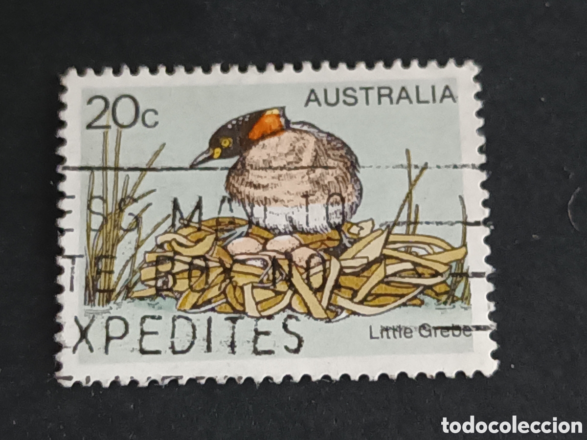 Sellos: AUSTRALIA. SELLO USADO. - Foto 1