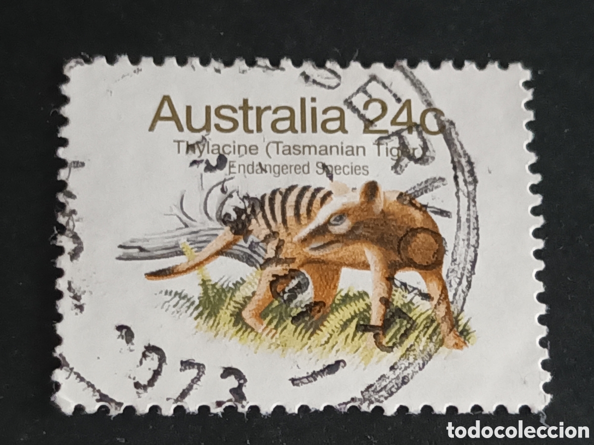Sellos: AUSTRALIA. SELLO USADO. - Foto 1