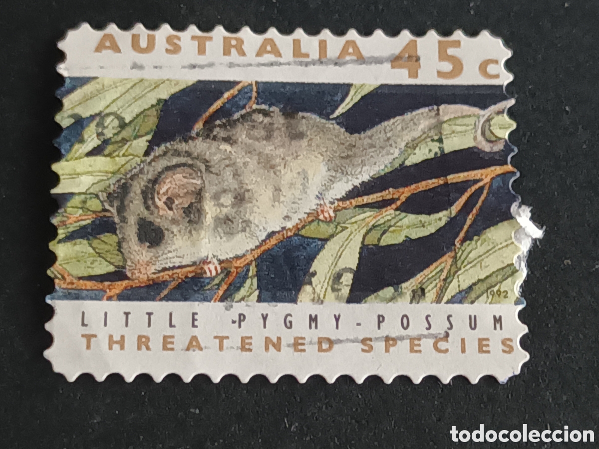 Sellos: AUSTRALIA. SELLO USADO. - Foto 1