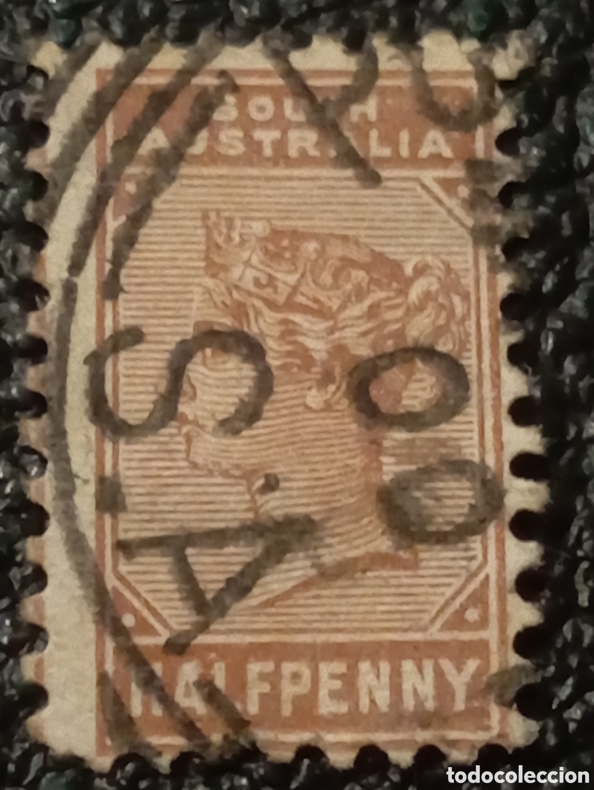 Sellos: Australia del Sur Scott 104 (1895) - Foto 1